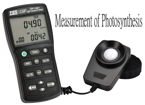 Photosynthesis Light Quantum Meter